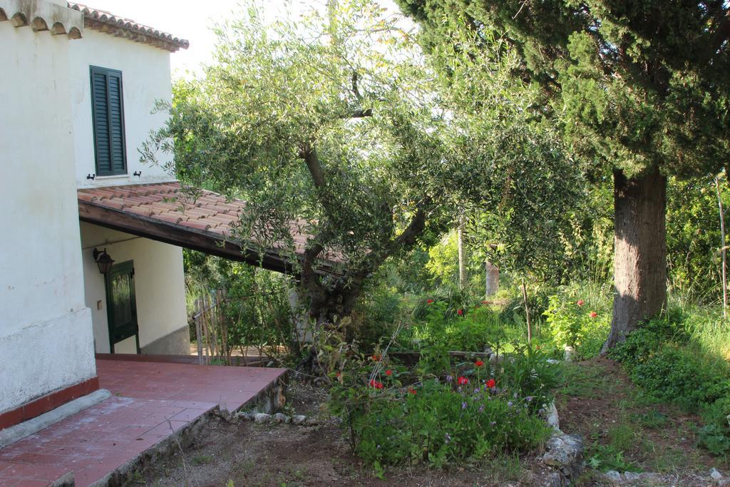 Tenuta Conte Ruggero Santa Domenica  Δωμάτιο φωτογραφία